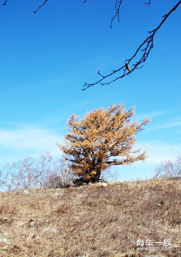 秋季派力奥自驾游内蒙_阿尔山_满洲里_室韦_呼伦贝尔